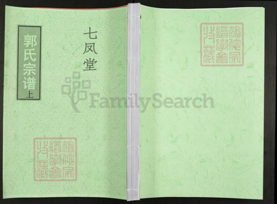 江苏省泰州市泰兴市黄桥镇郭氏七凤堂族谱-郭氏宗谱.pdf电子版插图 江苏省泰州市泰兴市黄桥镇郭氏七凤堂族谱-郭氏宗谱.pdf电子版插图