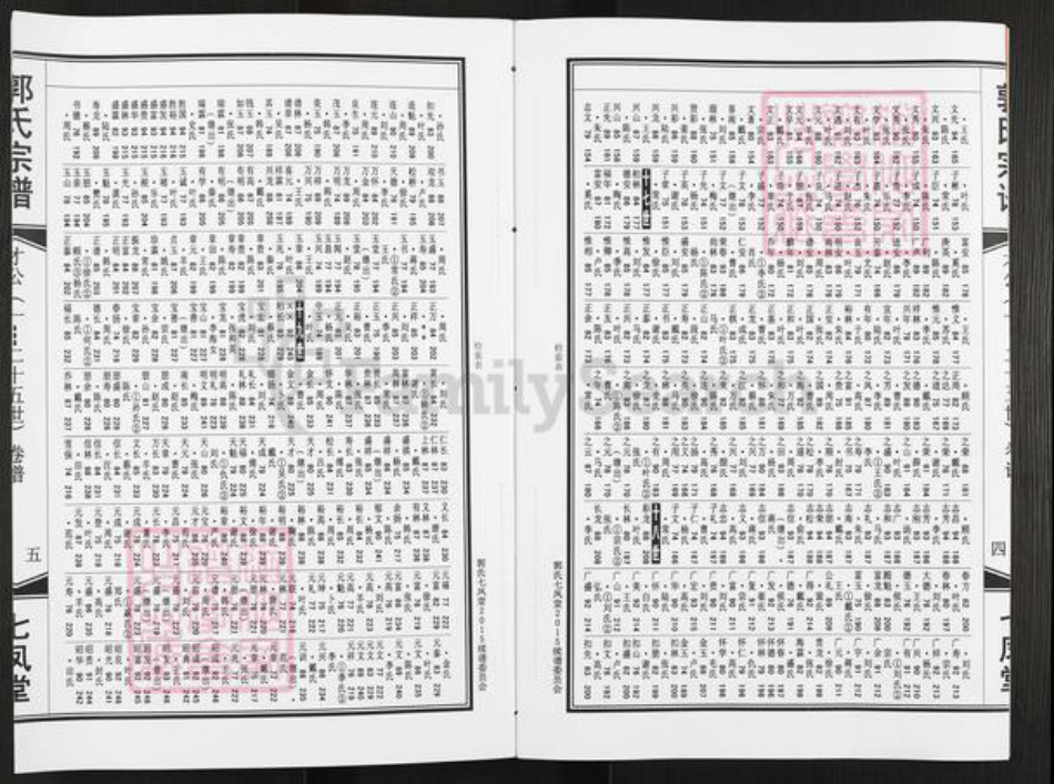 江苏省泰州市泰兴市黄桥镇郭氏七凤堂族谱-郭氏宗谱.pdf电子版插图4 江苏省泰州市泰兴市黄桥镇郭氏七凤堂族谱-郭氏宗谱.pdf电子版插图4