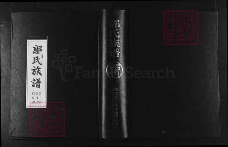 山东省东营市利津县郭氏族谱-郭氏族谱.pdf电子版