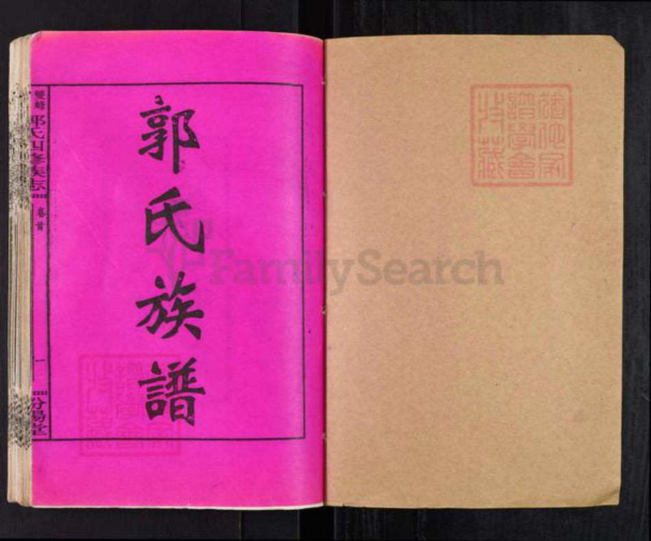 湖南省娄底市双峰县郭氏汾阳堂族谱-双峰龙返郭氏四修族志.pdf电子版插图1 湖南省娄底市双峰县郭氏汾阳堂族谱-双峰龙返郭氏四修族志.pdf电子版插图1