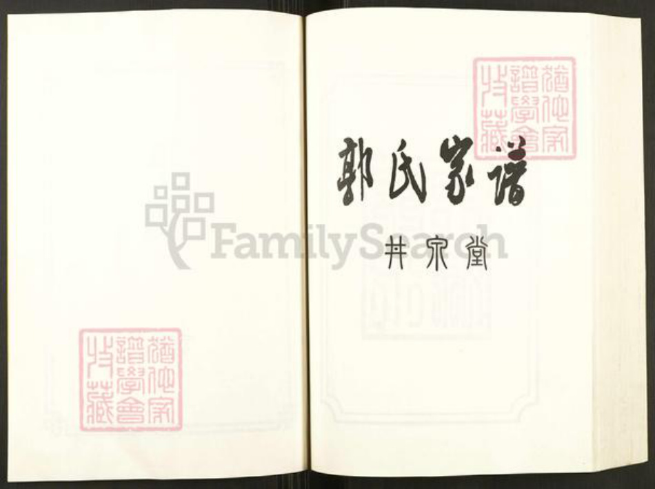 安徽省滁州市天长市郭氏井泉堂族谱-郭氏宗谱.pdf电子版插图2 安徽省滁州市天长市郭氏井泉堂族谱-郭氏宗谱.pdf电子版插图2