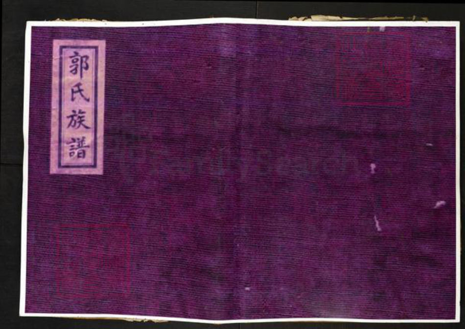 山东省泰安市肥城市汶阳镇郭氏族谱-汶邑郭氏族谱志.pdf电子版