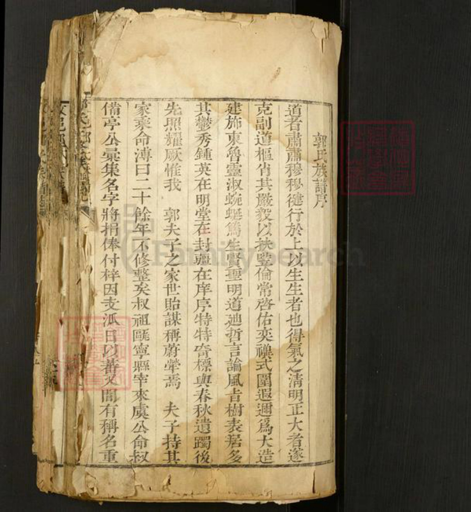 山东省泰安市肥城市汶阳镇郭氏族谱-汶邑郭氏族谱志.pdf电子版插图1