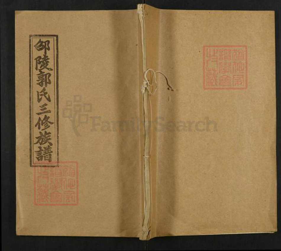 湖南省邵阳市邵东郭氏汾阳堂族谱-邵陵郭氏三修族谱.pdf电子版