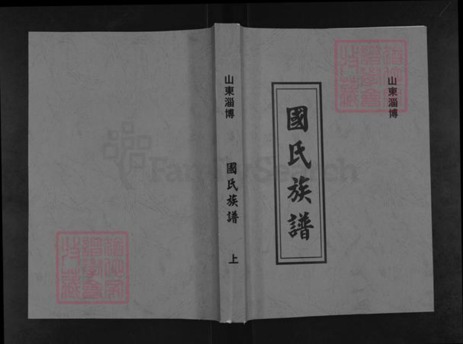 山东省淄博市博山区国氏族谱-国氏族谱.pdf电子版