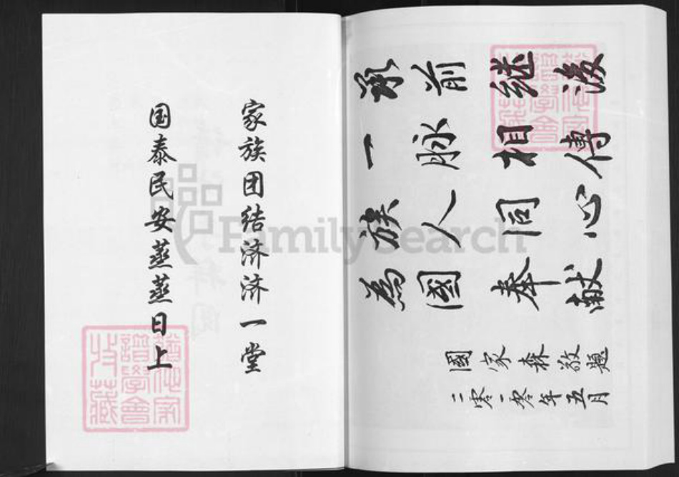 山东省淄博市博山区国氏族谱-国氏族谱.pdf电子版插图3