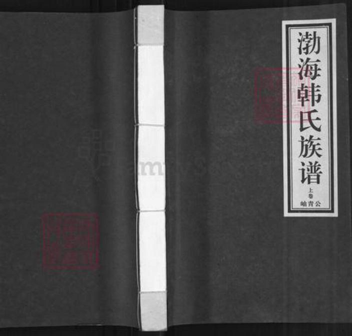 河北省沧州黄骅市吕桥镇韩氏族谱-渤海韩氏族谱.pdf电子版插图 河北省沧州黄骅市吕桥镇韩氏族谱-渤海韩氏族谱.pdf电子版插图