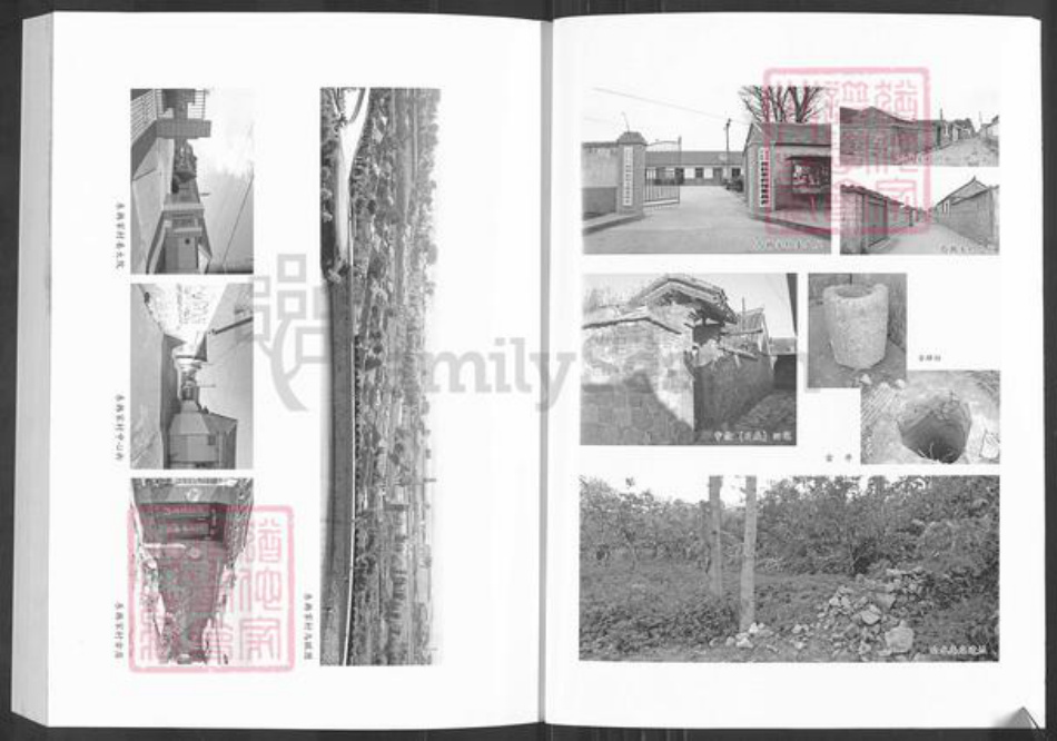 山东省烟台市龙口市芦头镇韩氏族谱-韩氏族谱.pdf电子版插图5