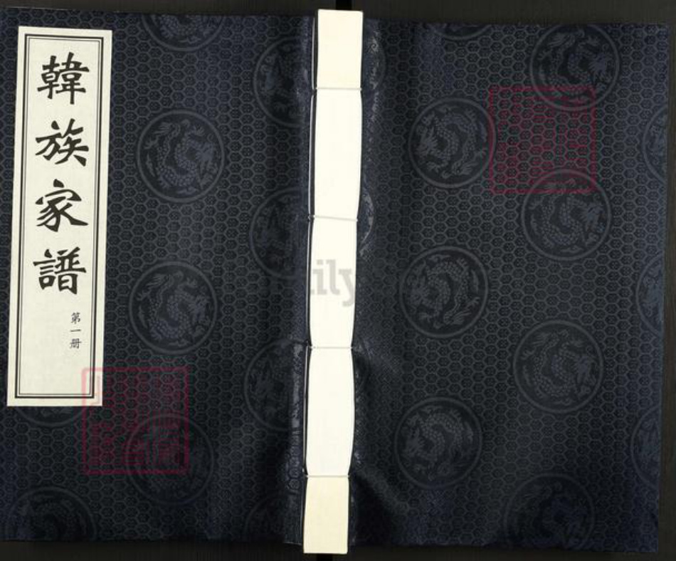 陕西省渭南市澄城县韩氏族谱-韩族家谱.pdf电子版插图 陕西省渭南市澄城县韩氏族谱-韩族家谱.pdf电子版插图