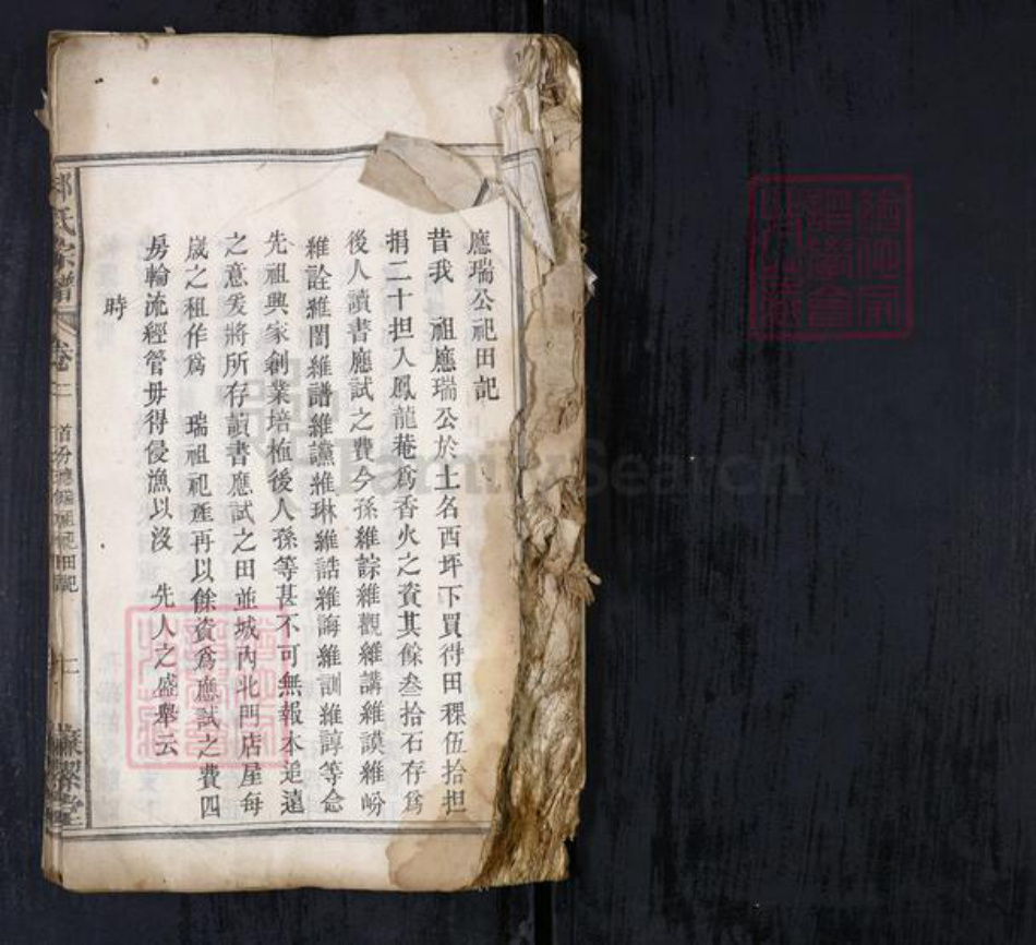 湖北省郝氏族谱-郝氏宗谱.pdf电子版插图1