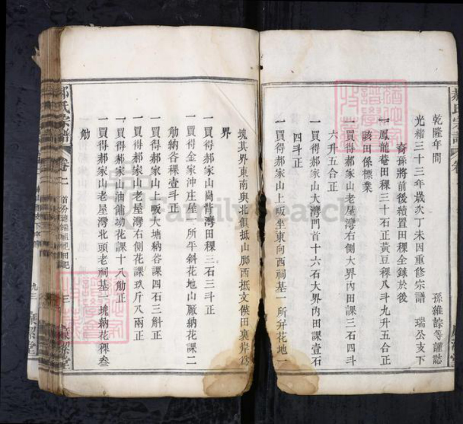 湖北省郝氏族谱-郝氏宗谱.pdf电子版插图2