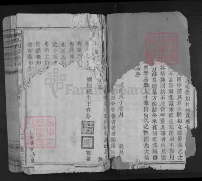 江西省赣州市兴国县何氏庐江堂族谱-何氏四修族谱.pdf电子版插图2 江西省赣州市兴国县何氏庐江堂族谱-何氏四修族谱.pdf电子版插图2