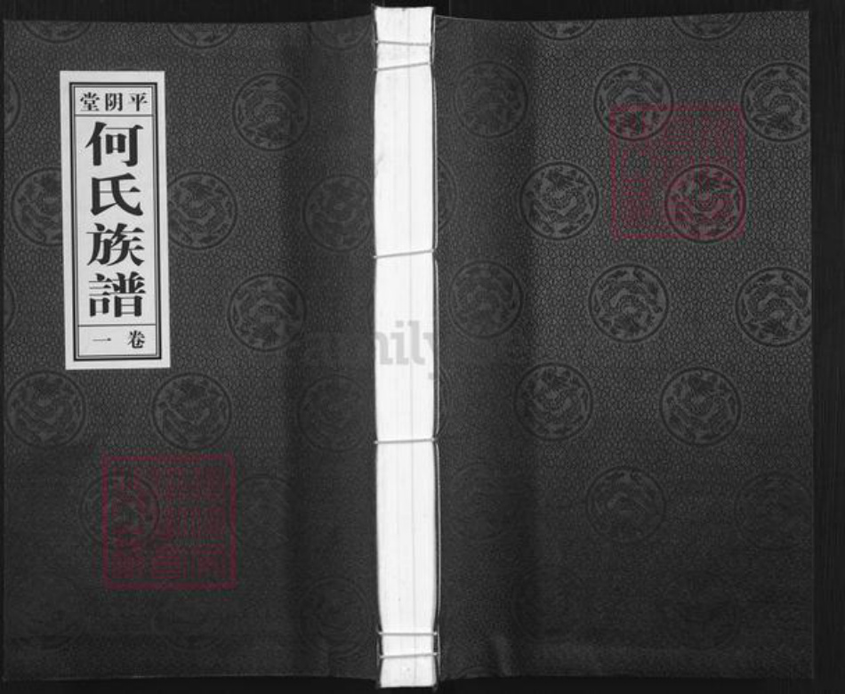 山东省济南市平阴县何氏平阴堂族谱-平阴堂.何氏族谱.pdf电子版