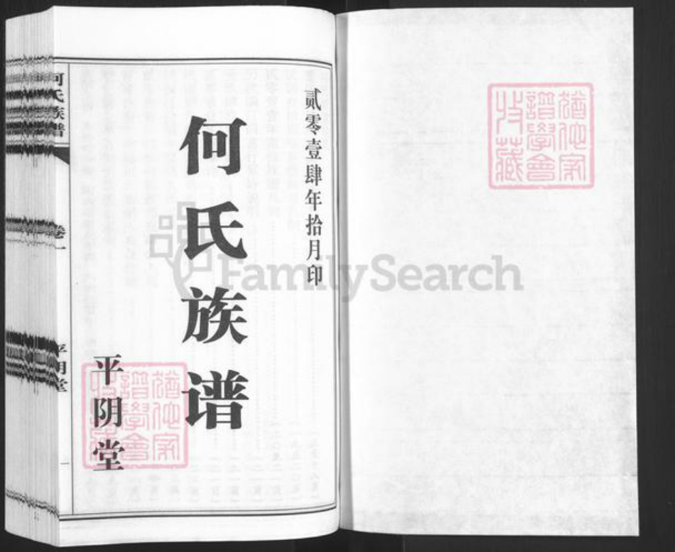 山东省济南市平阴县何氏平阴堂族谱-平阴堂.何氏族谱.pdf电子版插图1