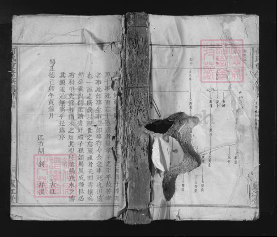 江西省何氏庐江堂族谱-何氏重修族谱.pdf电子版