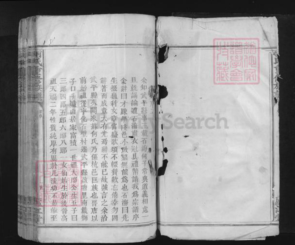 江西省何氏庐江堂族谱-何氏重修族谱.pdf电子版插图2