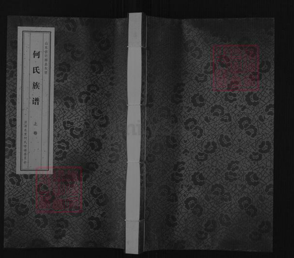 山东省淄博市沂源县东里镇何氏族谱-山东省沂源县东里何氏族谱.pdf电子版