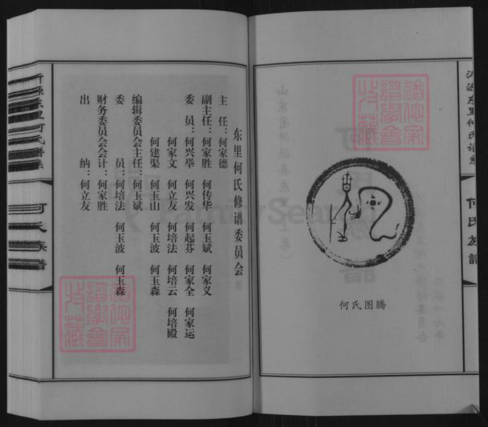 山东省淄博市沂源县东里镇何氏族谱-山东省沂源县东里何氏族谱.pdf电子版插图2