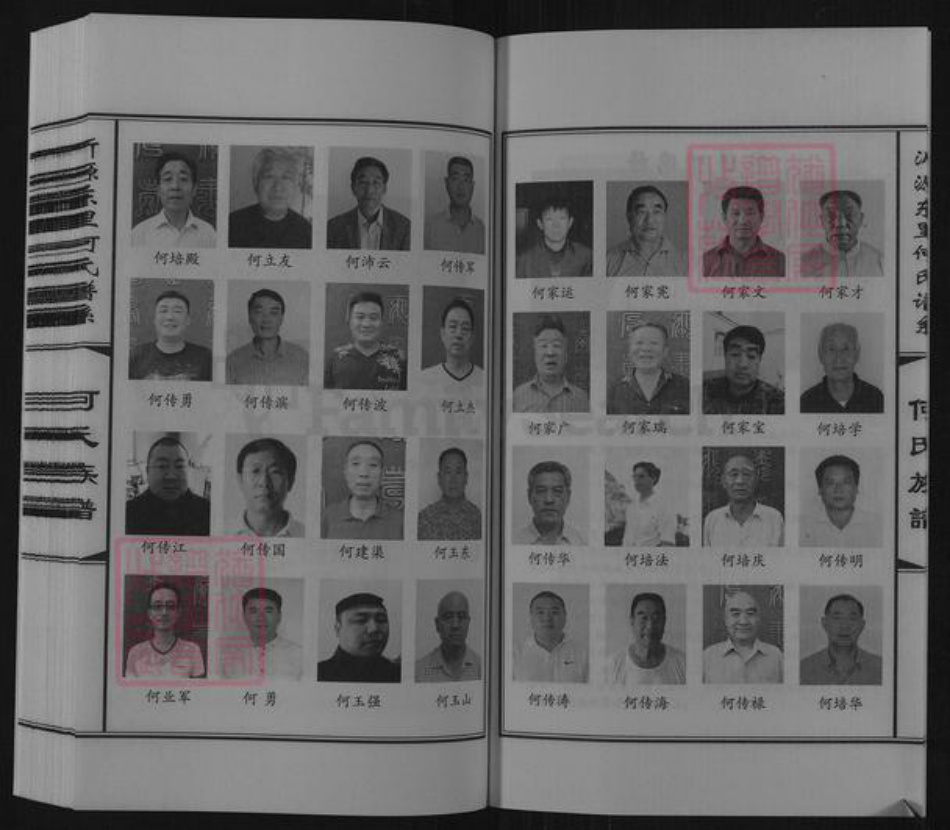 山东省淄博市沂源县东里镇何氏族谱-山东省沂源县东里何氏族谱.pdf电子版插图5