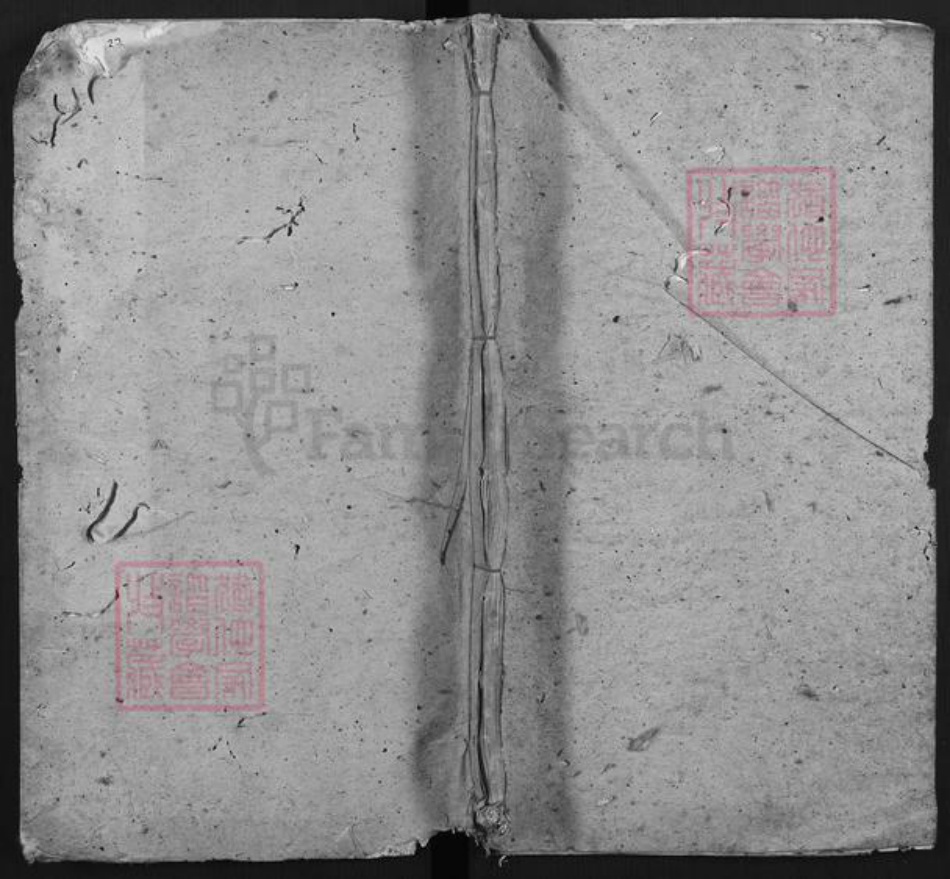 江西省赣州市大余县新城镇何氏族谱-新城高磜何氏宗谱.pdf电子版插图 江西省赣州市大余县新城镇何氏族谱-新城高磜何氏宗谱.pdf电子版插图