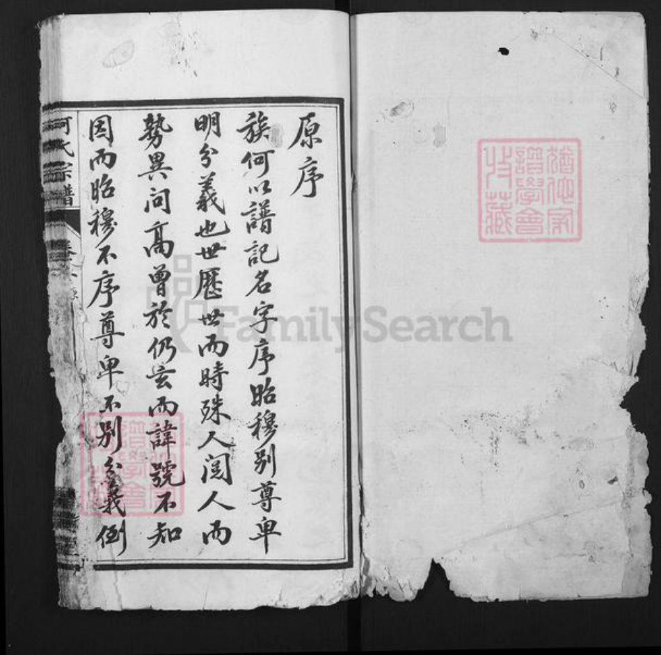 湖北省黄冈市麻城市何氏清梅堂族谱-何氏宗谱.pdf电子版插图1 湖北省黄冈市麻城市何氏清梅堂族谱-何氏宗谱.pdf电子版插图1