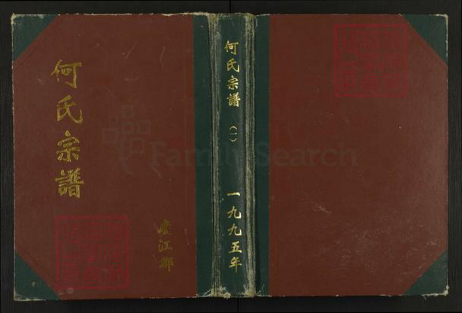 江苏省盐城市阜宁县何氏三高堂族谱-何氏宗谱.pdf电子版