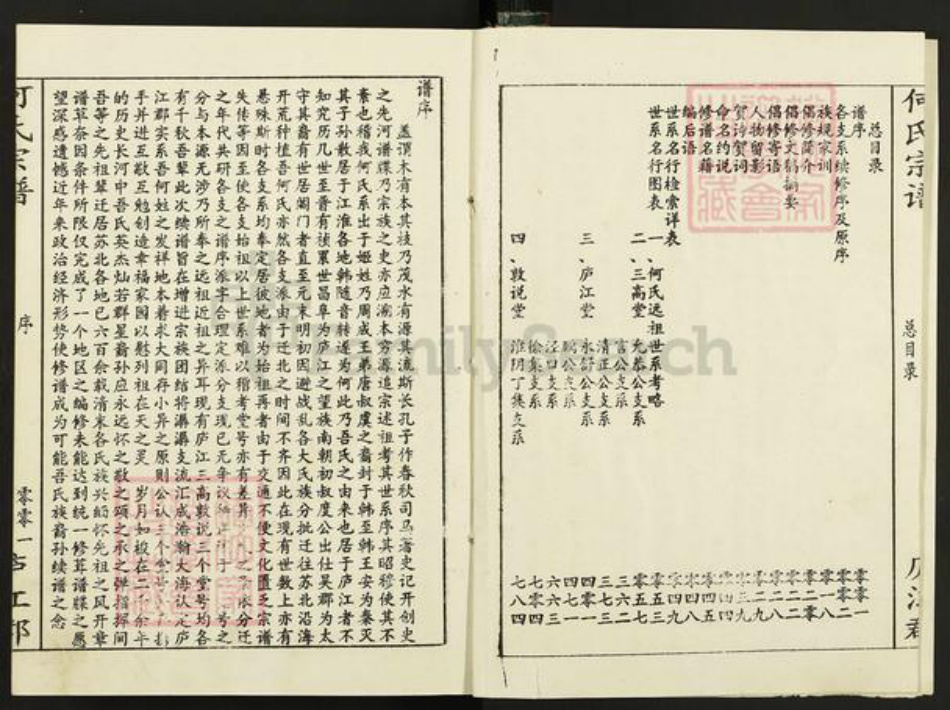 江苏省盐城市阜宁县何氏三高堂族谱-何氏宗谱.pdf电子版插图2