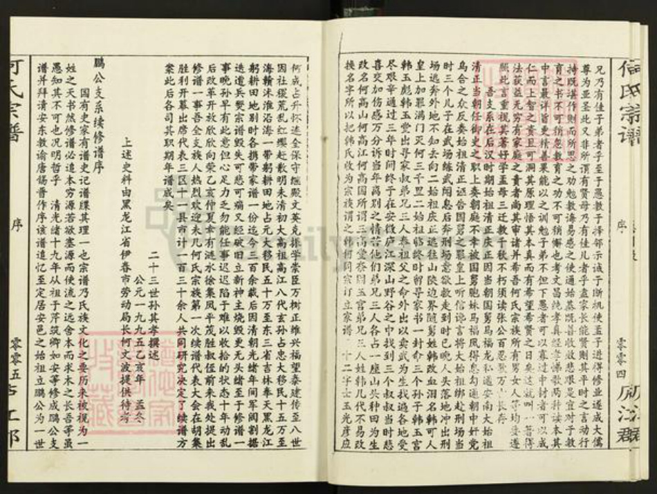 江苏省盐城市阜宁县何氏三高堂族谱-何氏宗谱.pdf电子版插图4