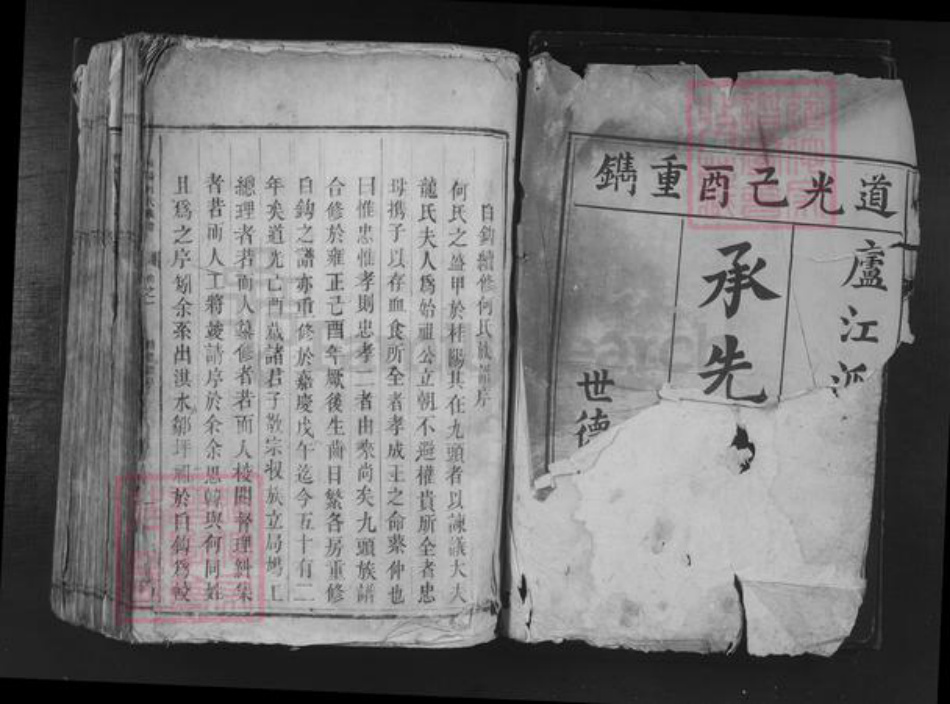 湖南省郴州市桂东县桥头乡何氏族谱-桂阳何氏族谱.pdf电子版插图1