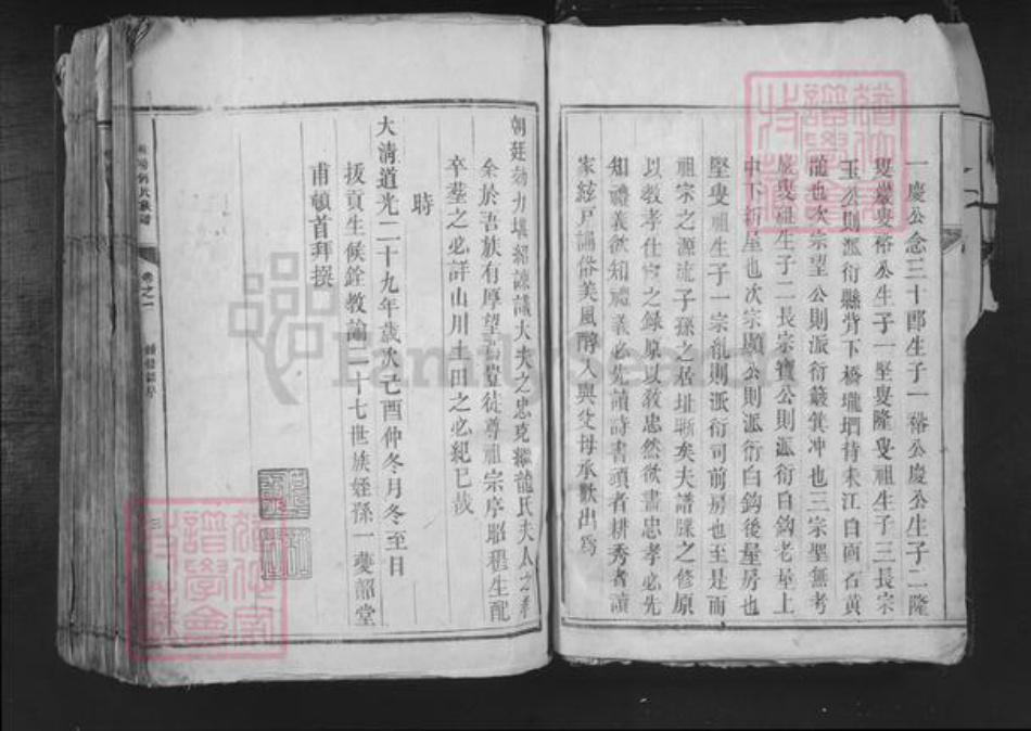 湖南省郴州市桂东县桥头乡何氏族谱-桂阳何氏族谱.pdf电子版插图3