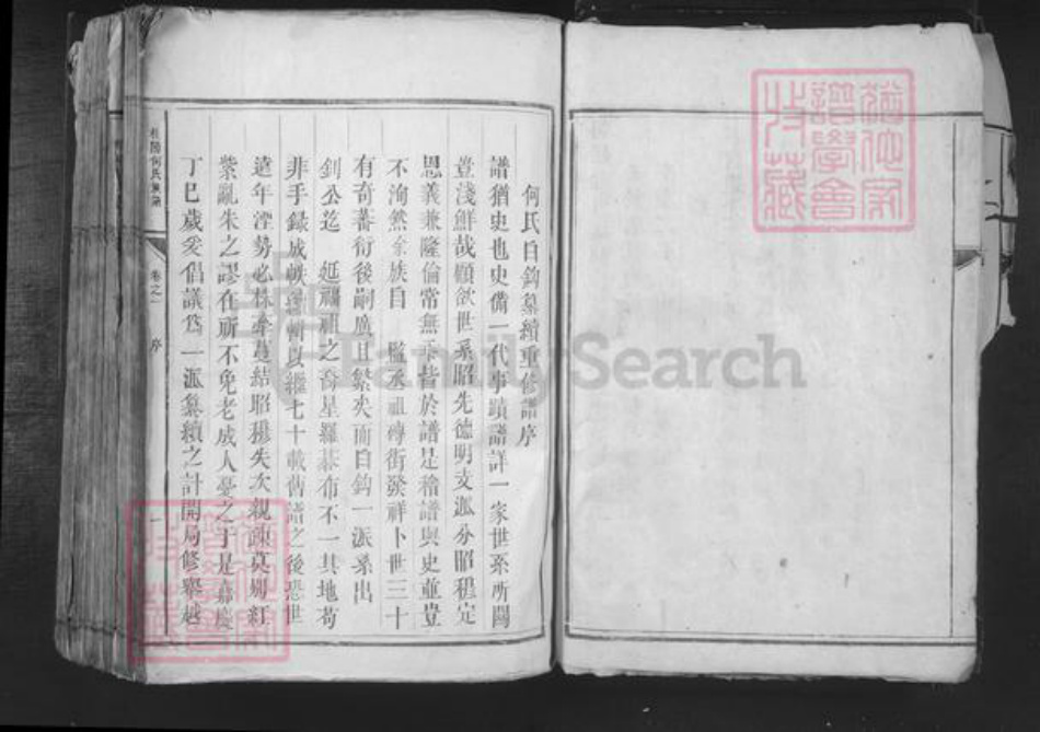 湖南省郴州市桂东县桥头乡何氏族谱-桂阳何氏族谱.pdf电子版插图4