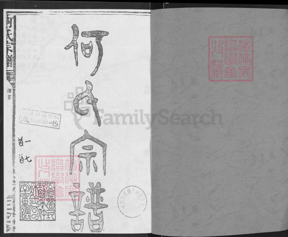 湖北省咸宁市通城县大坪乡何氏三何堂族谱-何氏宗谱.pdf电子版插图1