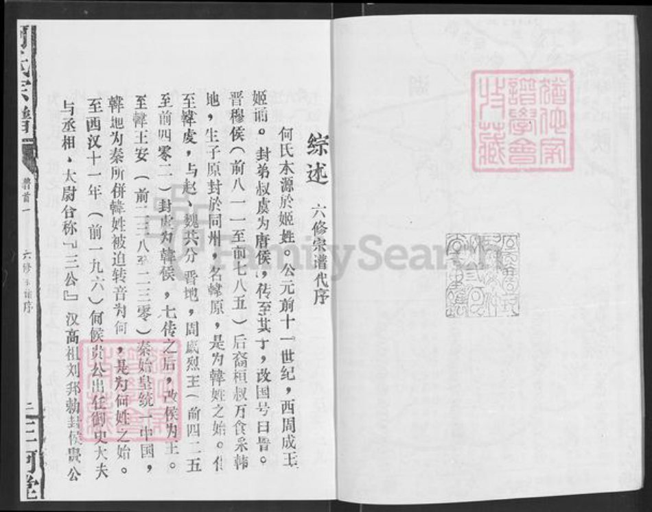 湖北省咸宁市通城县大坪乡何氏三何堂族谱-何氏宗谱.pdf电子版插图3