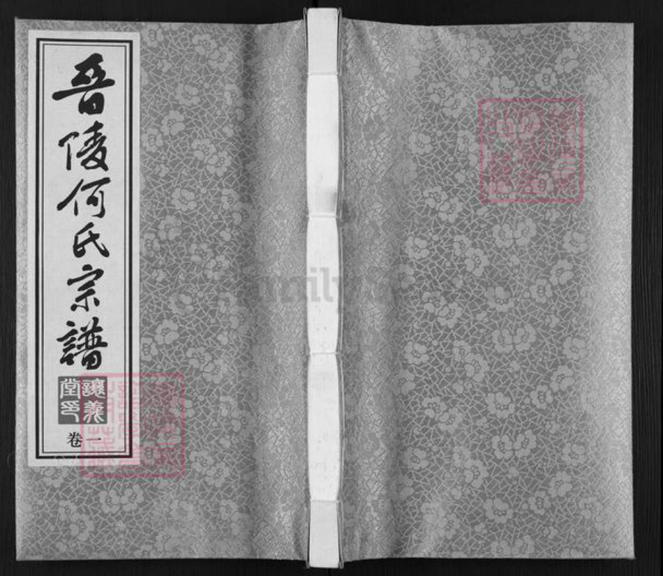 江苏省常州市武进县何氏让义堂族谱-晋陵何氏宗谱.pdf电子版