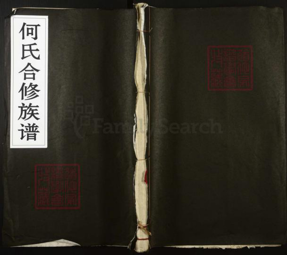 广东省梅州市梅县区大坪镇何氏庐江堂族谱-何氏合修族谱.pdf电子版