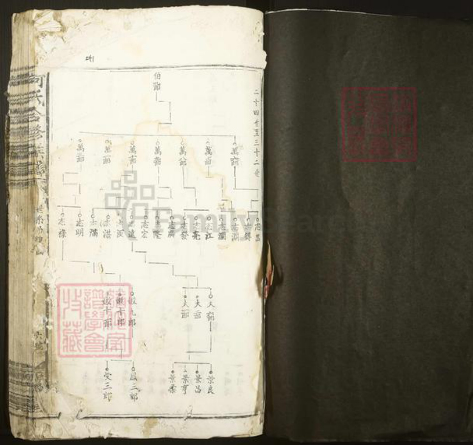 广东省梅州市梅县区大坪镇何氏庐江堂族谱-何氏合修族谱.pdf电子版插图1