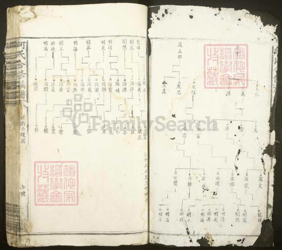 广东省梅州市梅县区大坪镇何氏庐江堂族谱-何氏合修族谱.pdf电子版插图2