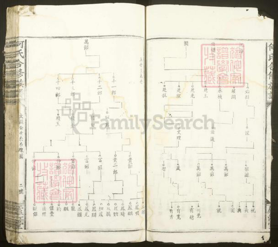 广东省梅州市梅县区大坪镇何氏庐江堂族谱-何氏合修族谱.pdf电子版插图4