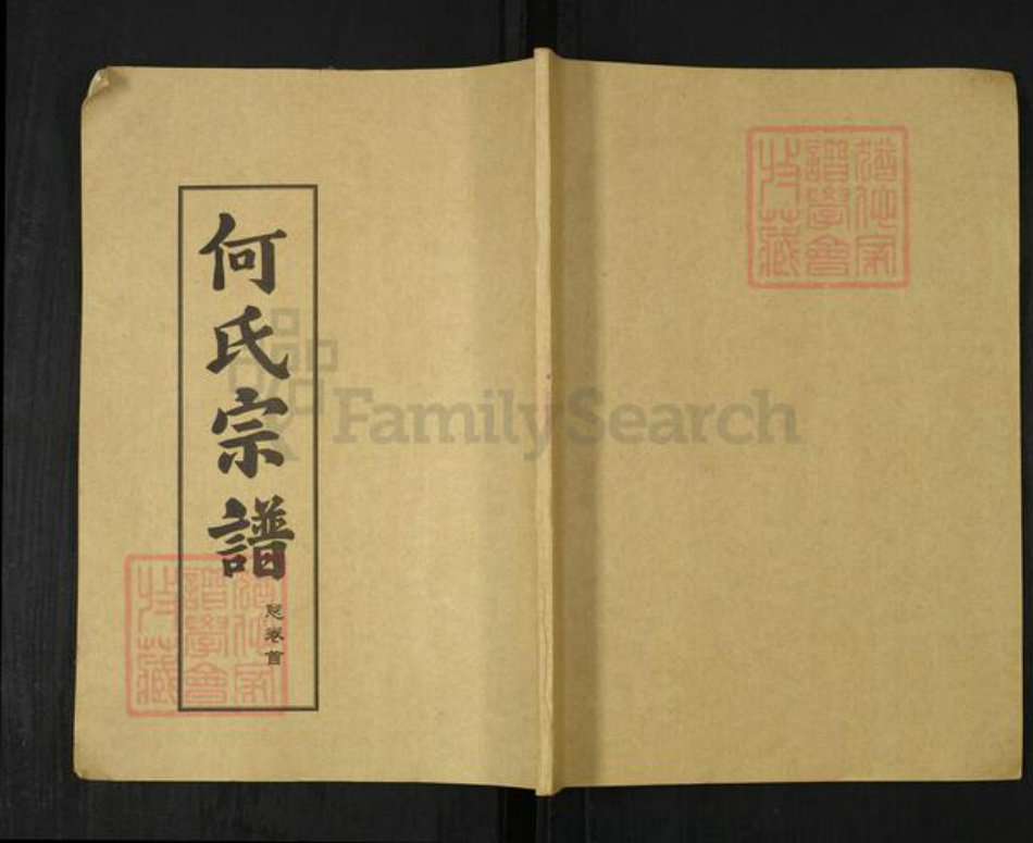 湖北省武汉市新洲区何氏德行堂族谱-何氏宗谱.pdf电子版