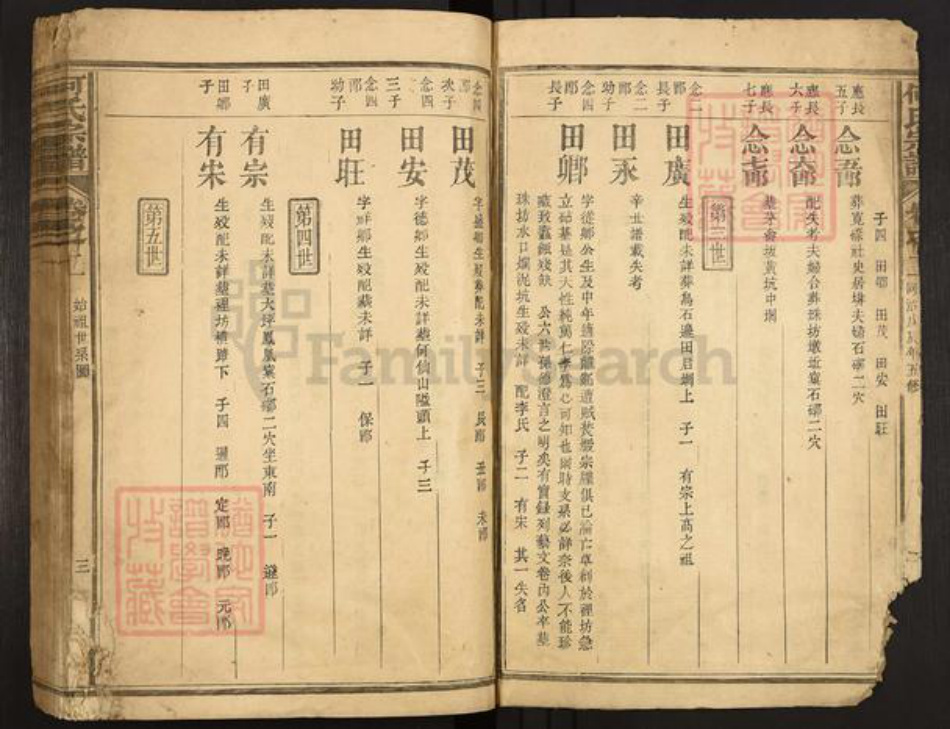 福建省三明市建宁县黄芳乡何氏族谱-何氏宗谱.pdf电子版插图3