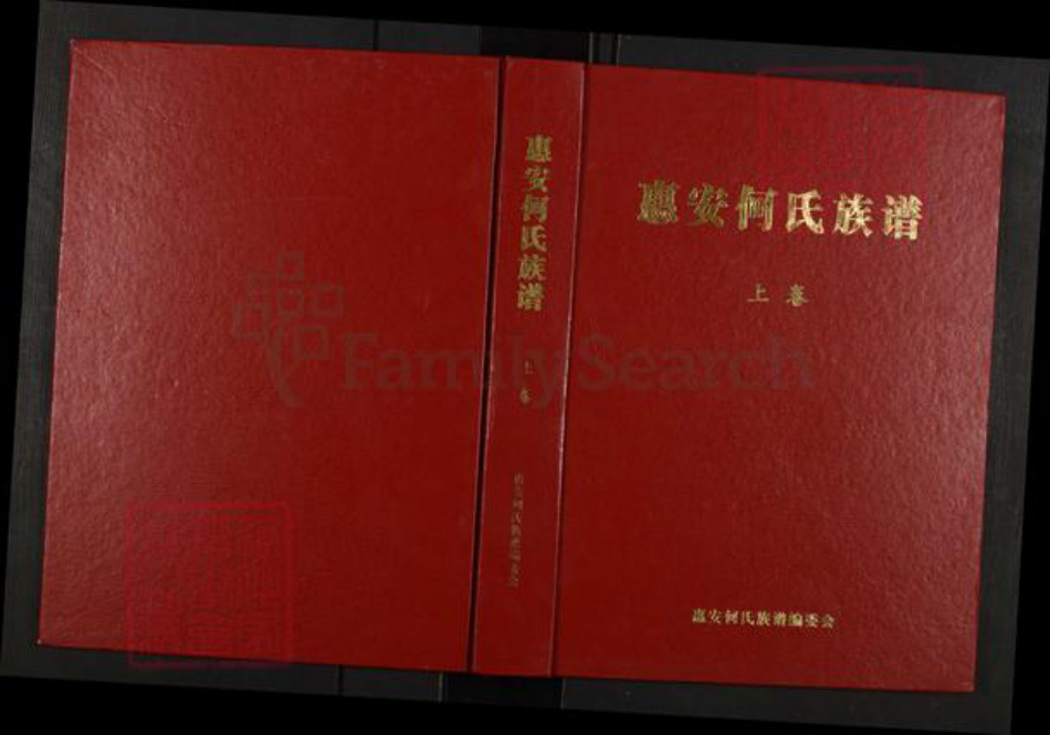 福建省泉州市惠安县何氏庐江堂族谱-惠安何氏族谱.pdf电子版