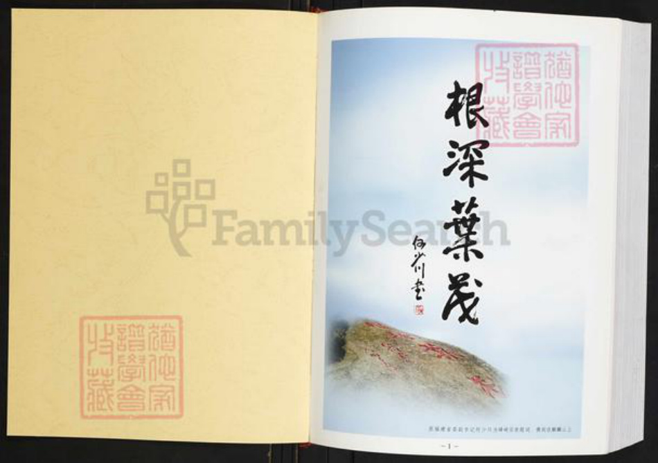 福建省泉州市惠安县何氏庐江堂族谱-惠安何氏族谱.pdf电子版插图1