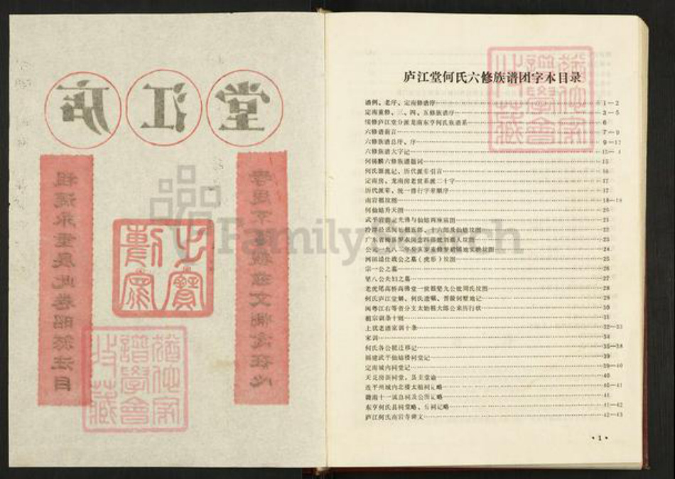 江西省赣州市定南县何氏庐江堂族谱-何氏六修族谱.pdf电子版插图2 江西省赣州市定南县何氏庐江堂族谱-何氏六修族谱.pdf电子版插图2