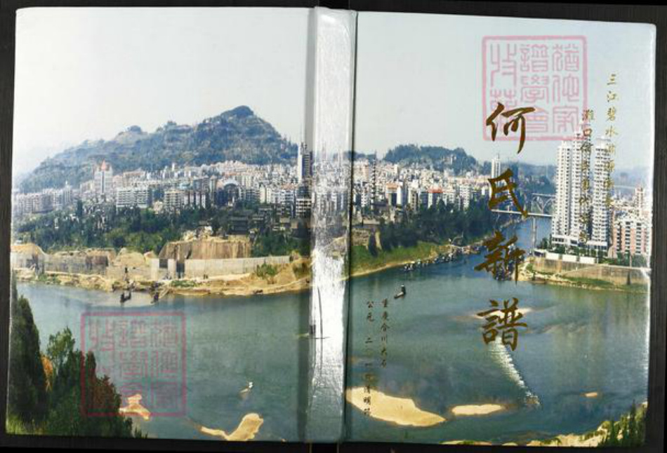 重庆市合川区何氏庐江堂族谱-何氏新谱.pdf电子版