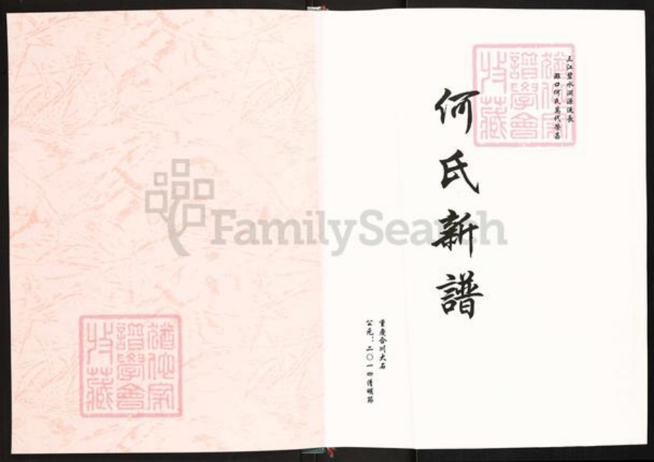 重庆市合川区何氏庐江堂族谱-何氏新谱.pdf电子版插图1