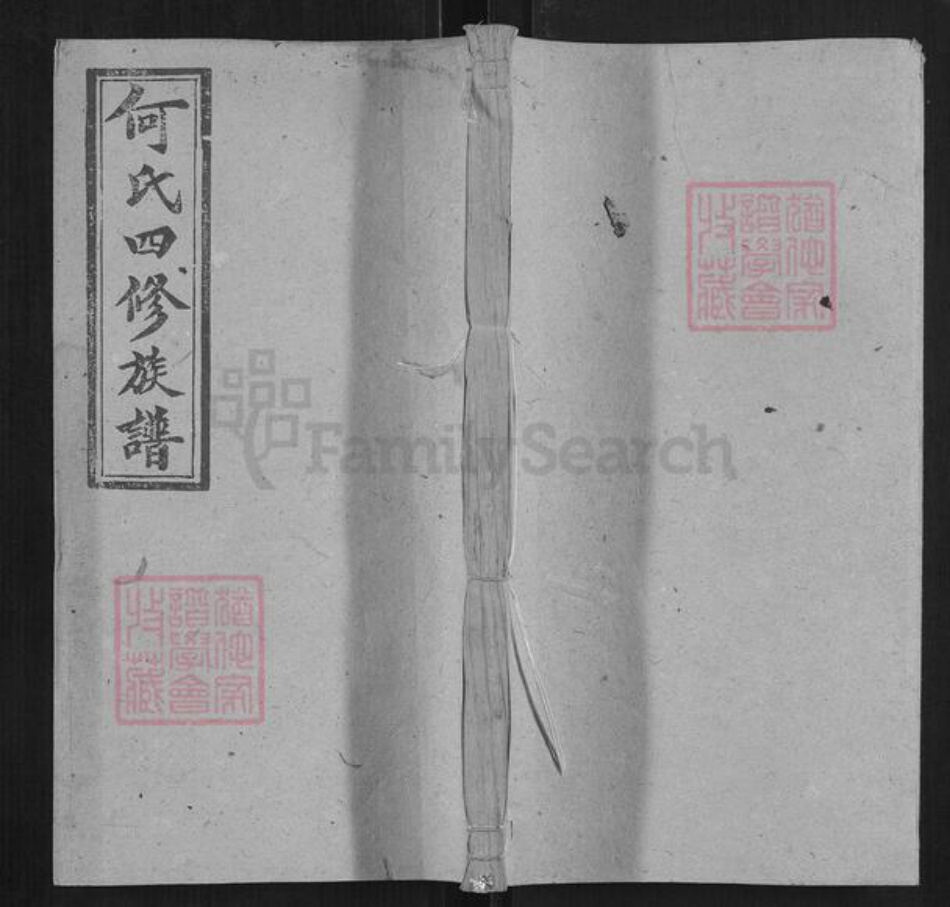 湖南省邵阳市何氏族谱-何氏四修族谱.pdf电子版