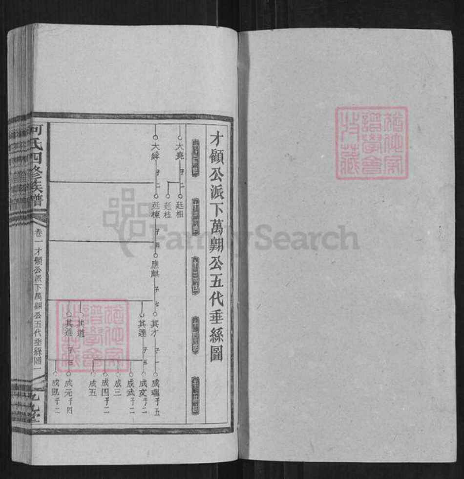 湖南省邵阳市何氏族谱-何氏四修族谱.pdf电子版插图1