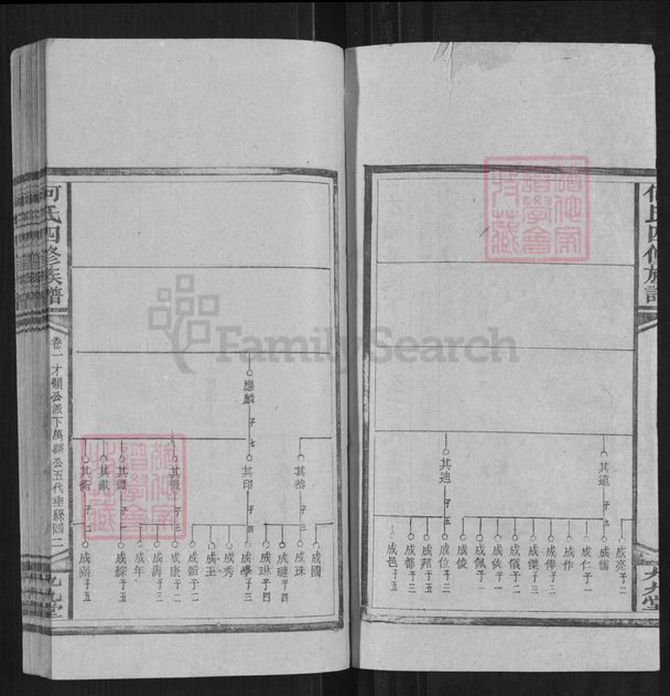 湖南省邵阳市何氏族谱-何氏四修族谱.pdf电子版插图2
