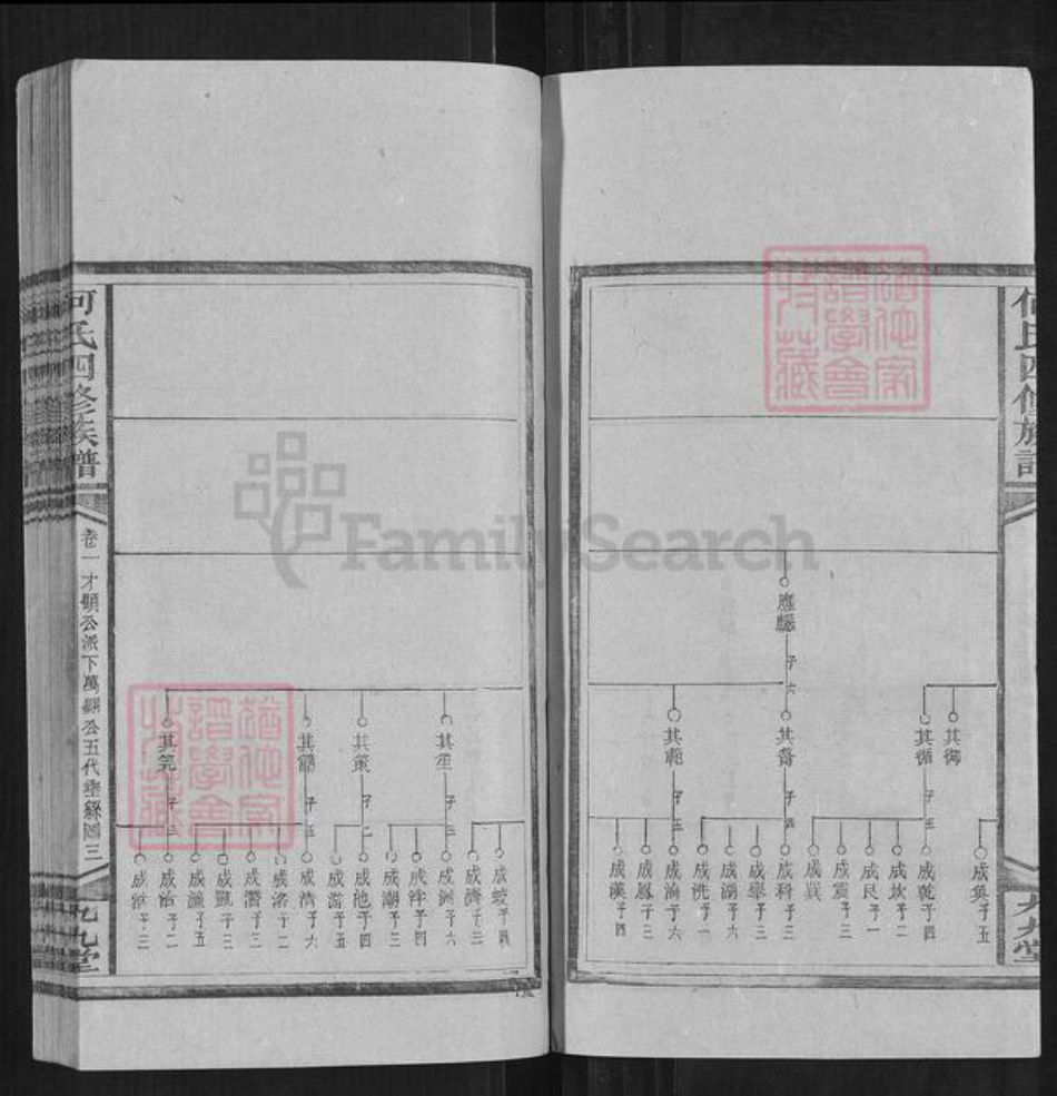 湖南省邵阳市何氏族谱-何氏四修族谱.pdf电子版插图3