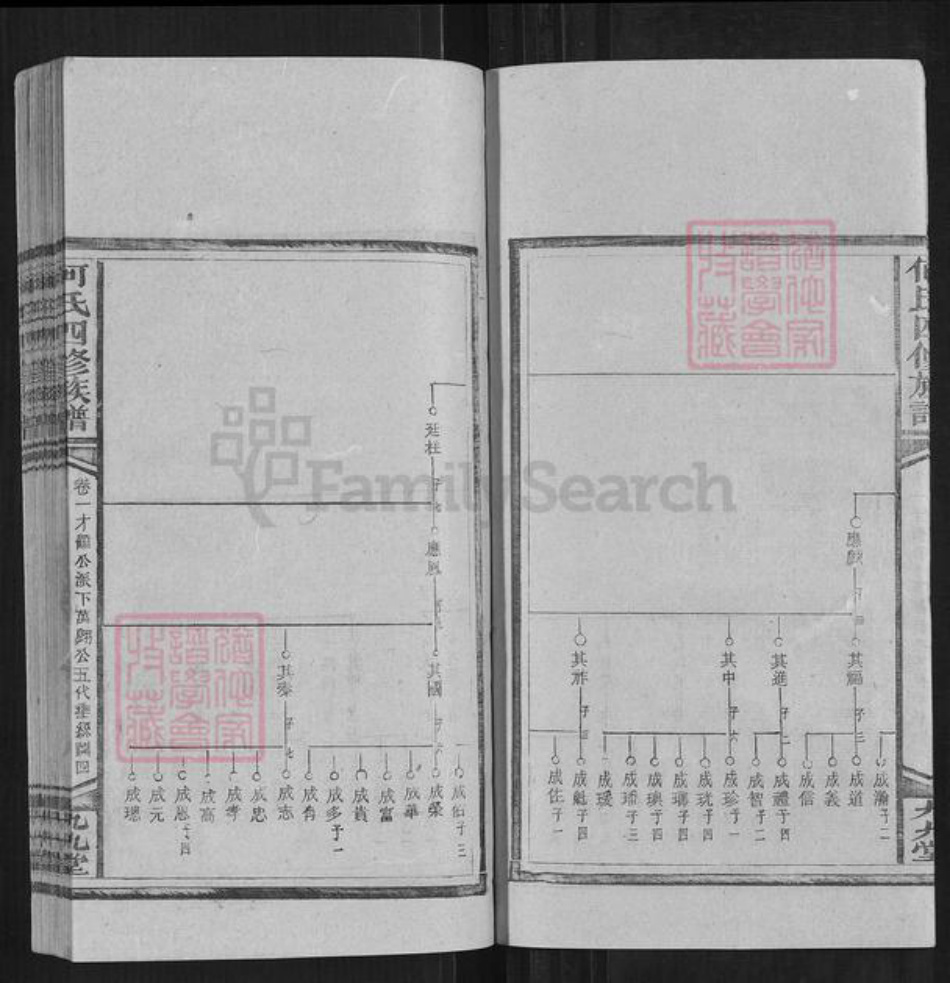 湖南省邵阳市何氏族谱-何氏四修族谱.pdf电子版插图4